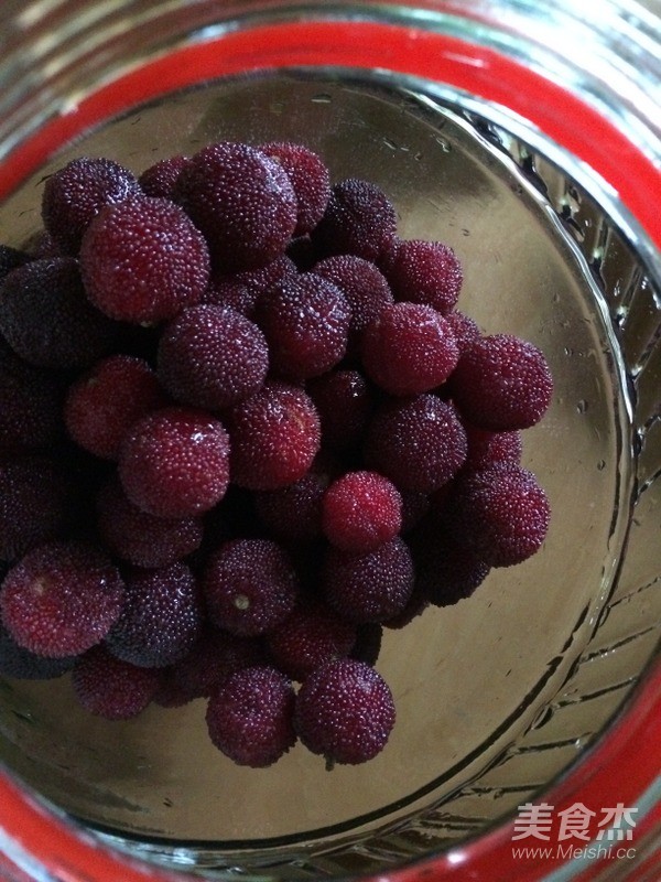 Bayberry Wine recipe