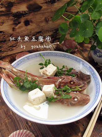 Red Head Fish Tofu Soup