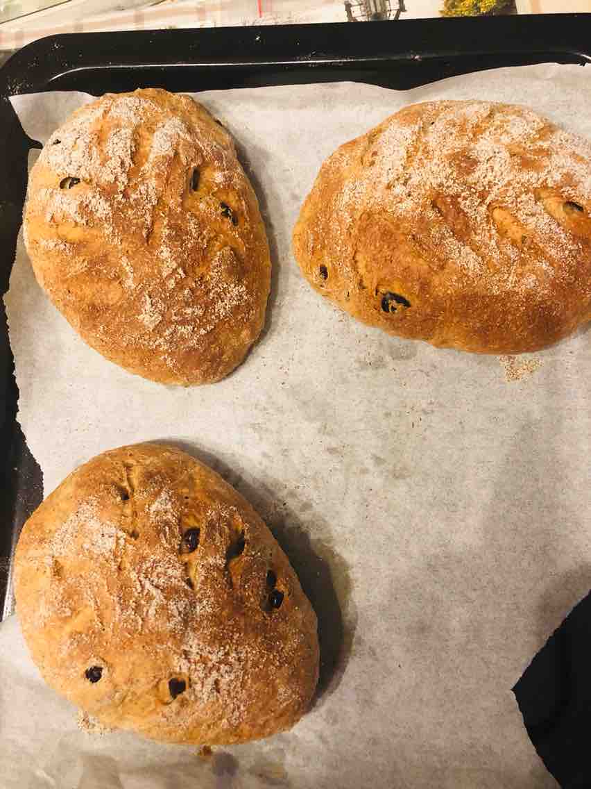 Walnut Cranberry Soft European Bun recipe