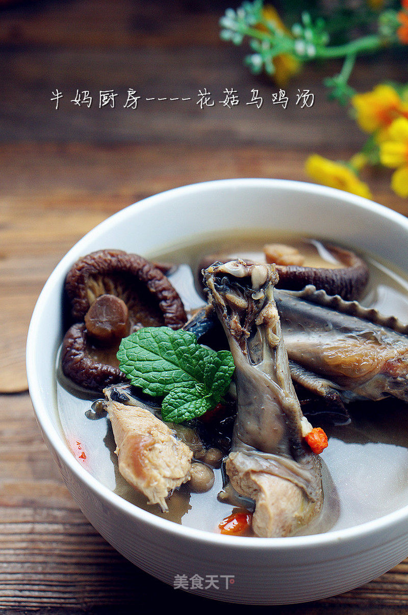 Mushroom Black Chicken Soup recipe