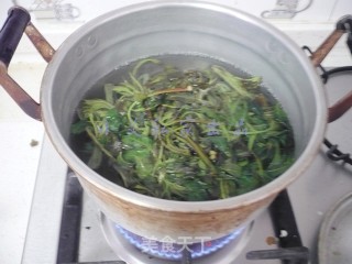 Toon Mixed with Dried Bean Curd recipe
