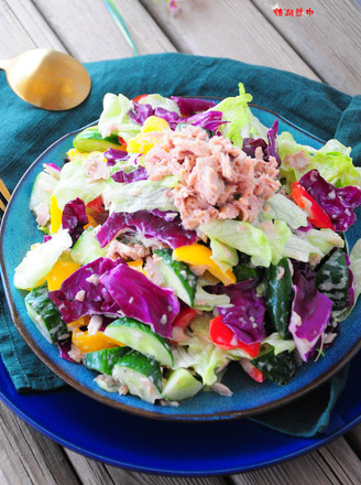 Tuna Vegetable Salad