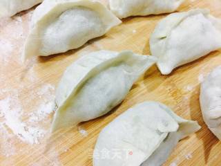 Zucchini Fried Dumplings recipe