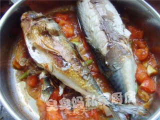 Spanish Mackerel in Tomato Sauce recipe