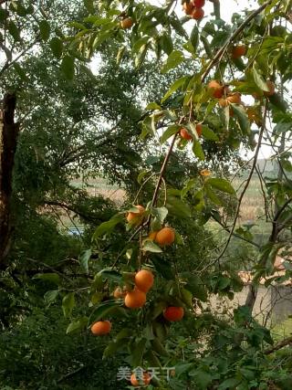 Persimmon Corn Cake recipe