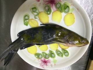 Steamed Yellow Bone Fish recipe