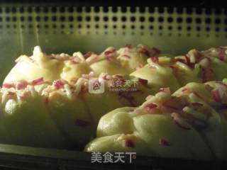 Onion Cheese Bread recipe