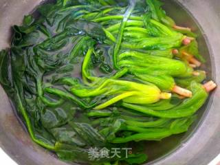 Spinach Mixed Vermicelli recipe