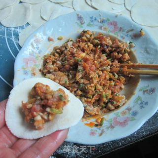 Fish and Sichuan Style Dumplings recipe