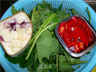 Home Cooking @@长寿菜~~ Stir-fried Sweet Potato Leaves recipe