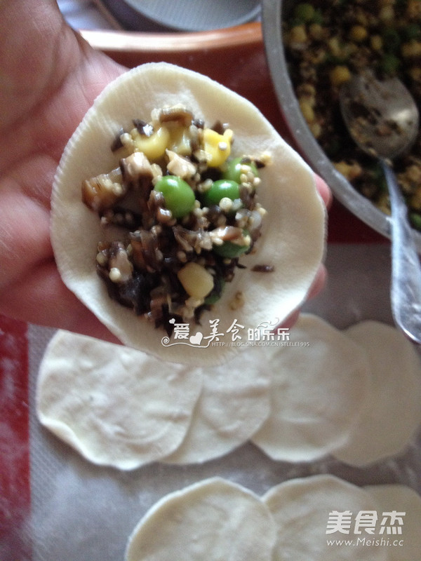 Steamed Dumplings with Quinoa Vegetarian Stuffing recipe