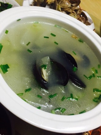 Mussels and Winter Melon Soup