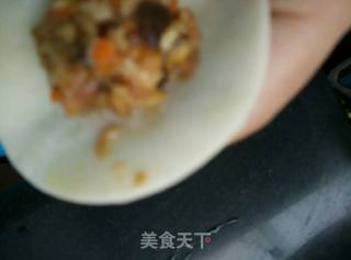 Pork and Mushroom Pot Stickers recipe