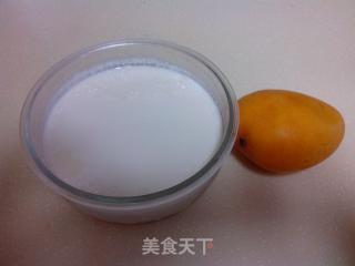 Fruit Yogurt recipe