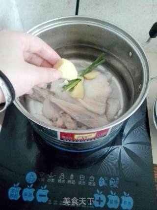 Cold Chicken Shreds recipe