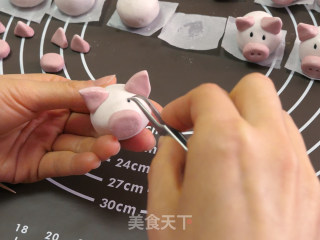 Pig Dumplings recipe