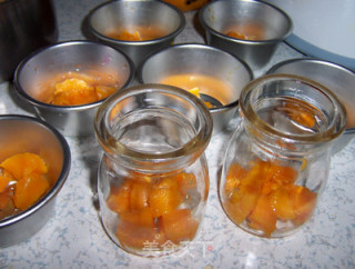 Easy Mango Pudding recipe