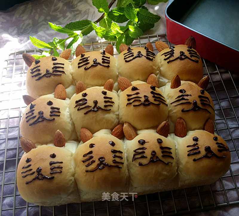 #aca烤明星大赛# Meow Star People Squeeze Bread (soy Milk Version) recipe