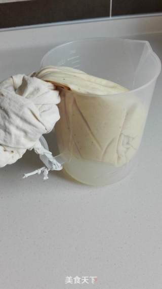 Homemade Greek Yogurt recipe