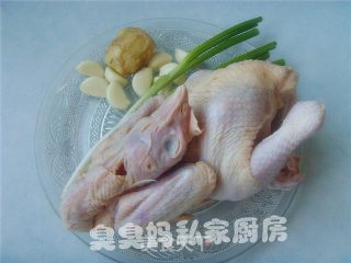 Mushroom Chicken Soup recipe