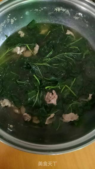 #春野菜#-mulberry Leaf Lean Meat Soup recipe