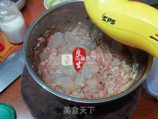Xiao Long Bao Meat Stuffing Method recipe
