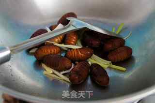 Stir-fried Silkworm Pupa with Green Onion and Ginger recipe