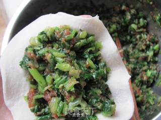 Xinliang Chinese Pastry Noodles——moss Vegetable Buns recipe