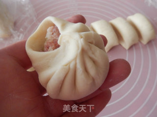 Beijing Onion Pork Buns recipe