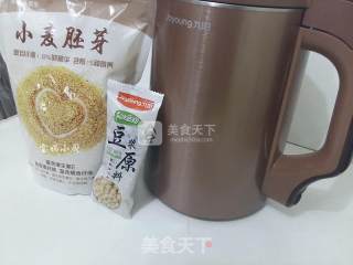 Wheat Germ Rice Soy Milk recipe