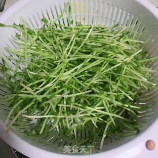 Stir-fried Pea Sprouts recipe