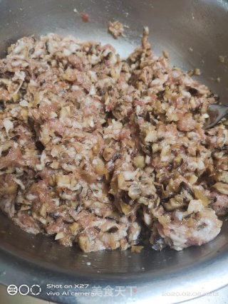 Mushroom Minced Pork Dumplings recipe