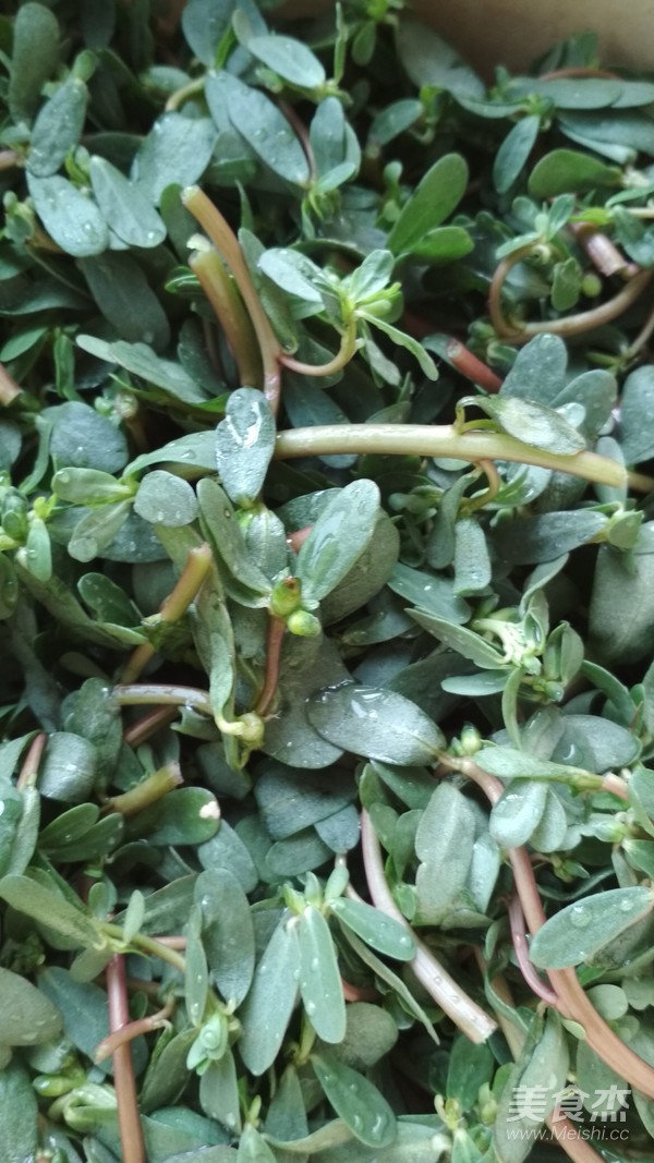 Garlic Purslane recipe