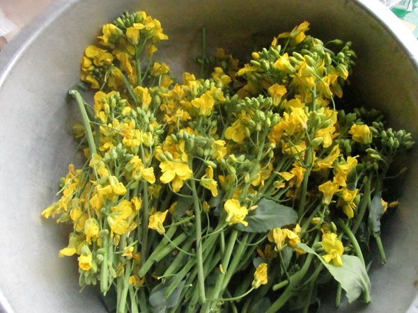 Rapeseed Flowers recipe