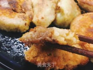 Fried Rice Dumplings recipe