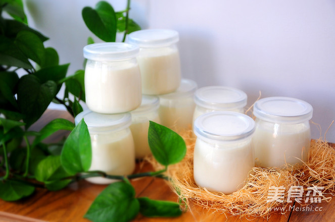 Homemade Delicious Bottled Yogurt recipe