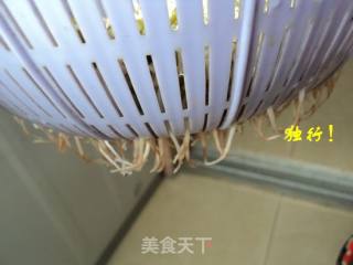 Simple and Safe to Send Mung Bean Sprouts Yourself recipe