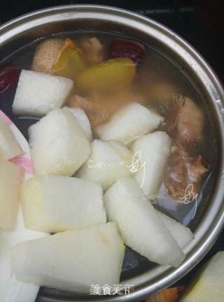 Barley, Winter Melon and Old Duck Soup recipe