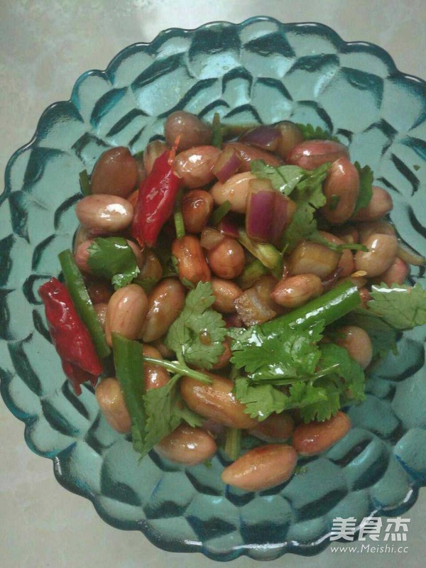 Vinegar Soaked Peanuts recipe