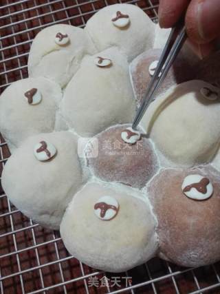 Squeeze Bear Bread recipe