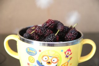 Mulberry Yogurt recipe