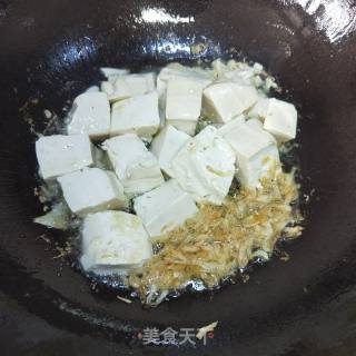 Shrimp Braised Tofu recipe