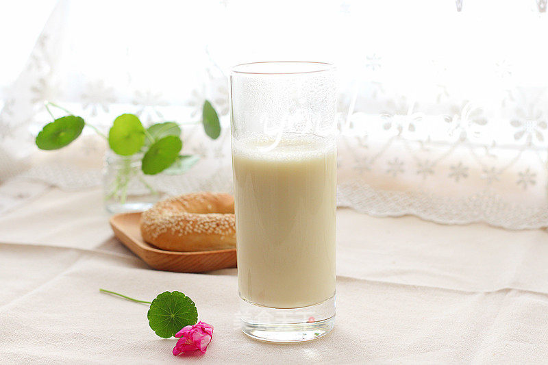 Double Concentrated Soy Milk recipe