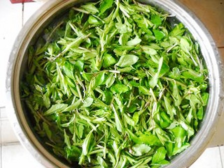 Cold Medlar Sprouts recipe