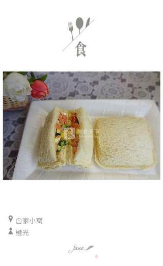 Pocket Sandwich recipe