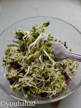 Radish Sprouts and Cranberry Salad