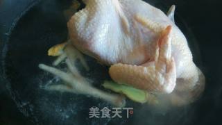 Shredded Chicken recipe