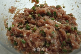 With Thin Skin and Lots of Stuffing, I Watched The Drooling Melaleuca Meatloaf recipe