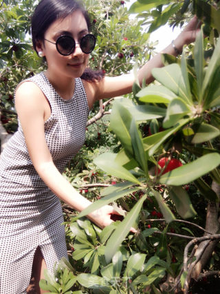 Iced Osmanthus Bayberry Juice recipe