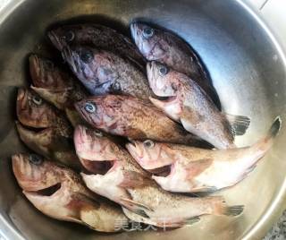 Fried Snakehead Fish recipe